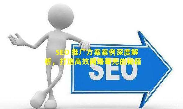 SEO 推广方案案例深度解析，打造高效网络曝光的秘籍